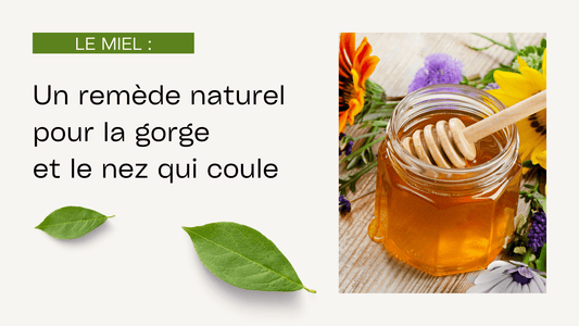 Le miel : un remède naturel pour la gorge et le nez qui coule - kalya