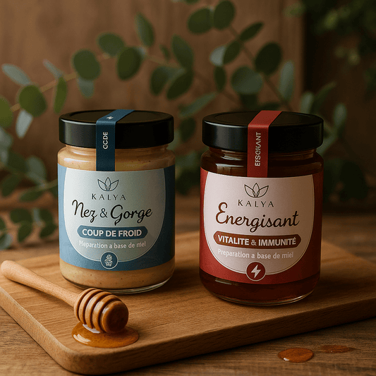 Pack Bouclier d'hiver - kalya