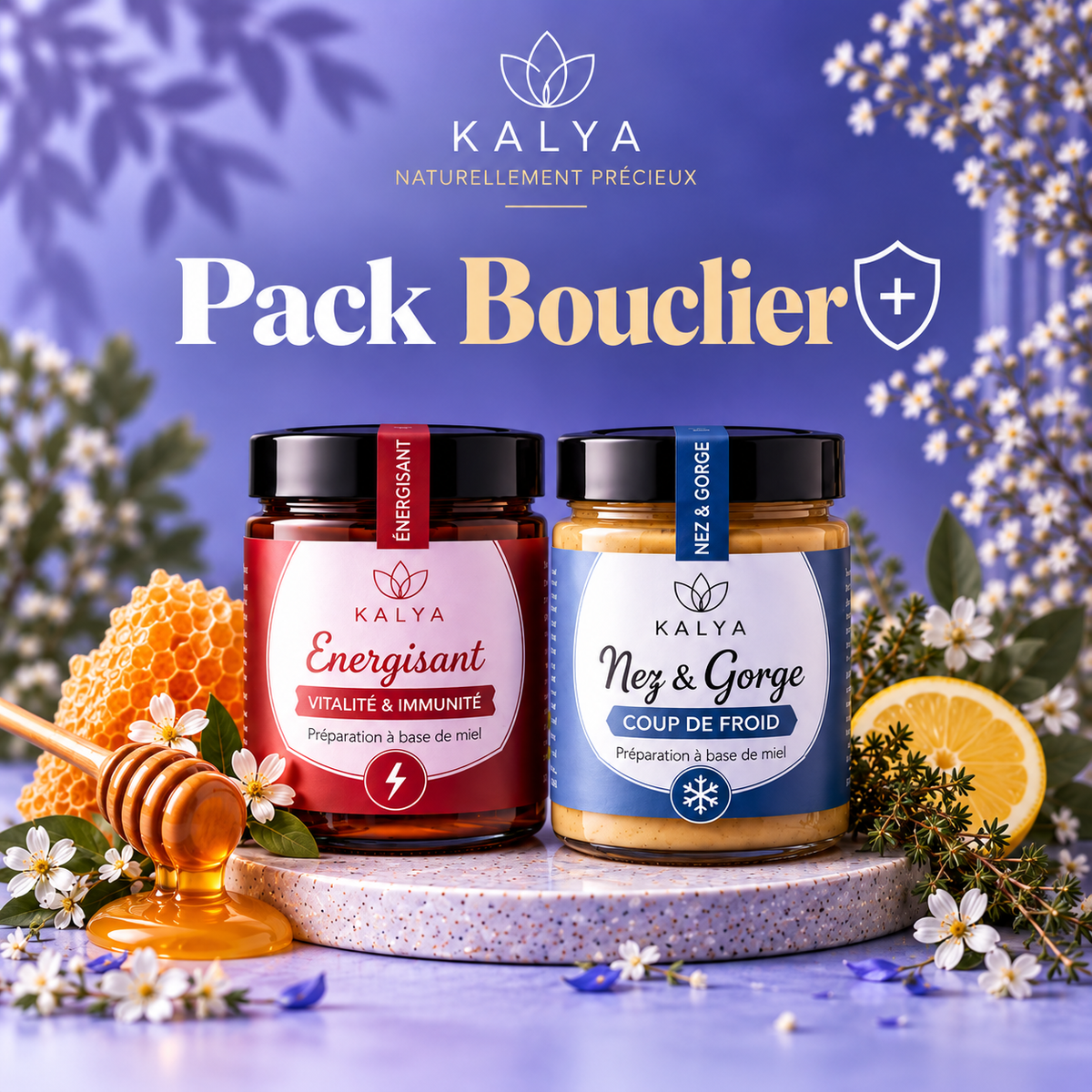 Pack Bouclier d'hiver - kalya