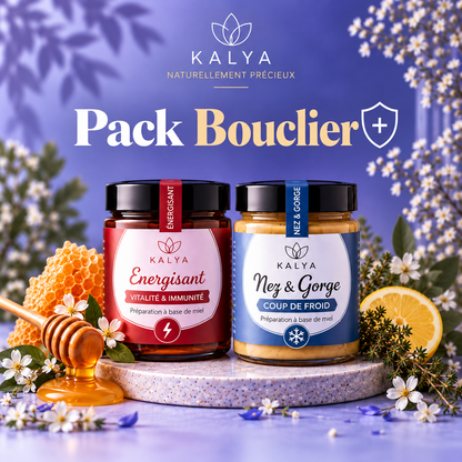 Pack Bouclier d'hiver - kalya