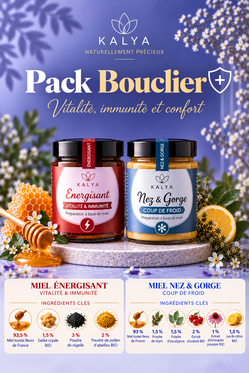 Pack Bouclier d'hiver - kalya