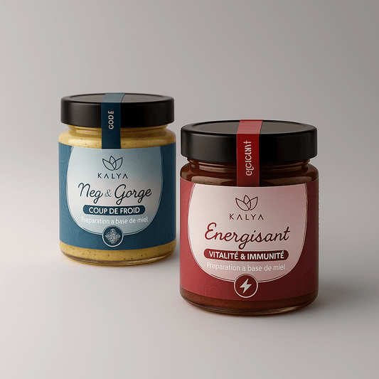 Pack Bouclier d'hiver - kalya